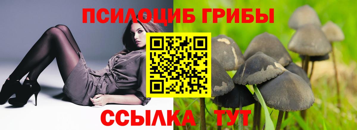 Галлюциногенные грибы мухоморы  Вход с VPN  Галлюциногенные грибы Cubensis  Усть-Илимск 